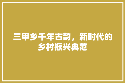 三甲乡千年古韵，新时代的乡村振兴典范