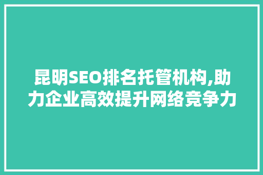 昆明SEO排名托管机构,助力企业高效提升网络竞争力