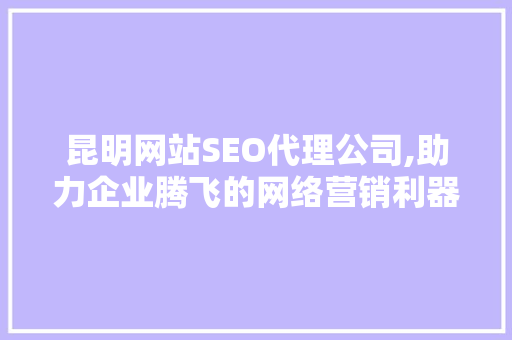 昆明网站SEO代理公司,助力企业腾飞的网络营销利器