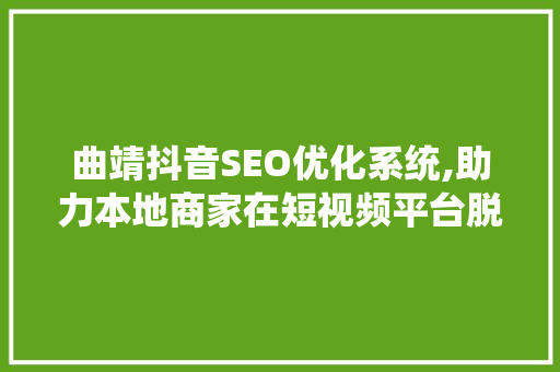 曲靖抖音SEO优化系统,助力本地商家在短视频平台脱颖而出