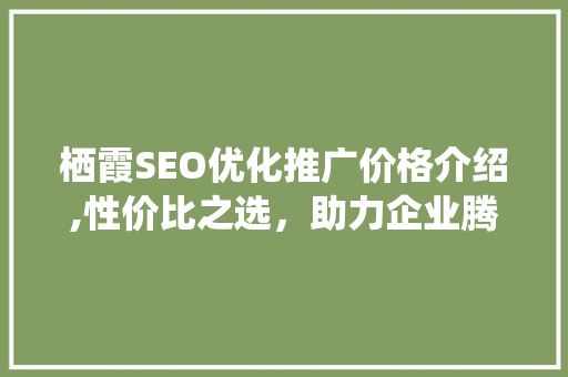 栖霞SEO优化推广价格介绍,性价比之选，助力企业腾飞