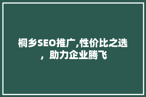 桐乡SEO推广,性价比之选，助力企业腾飞