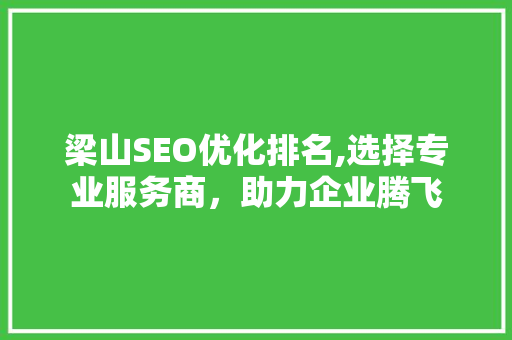 梁山SEO优化排名,选择专业服务商，助力企业腾飞