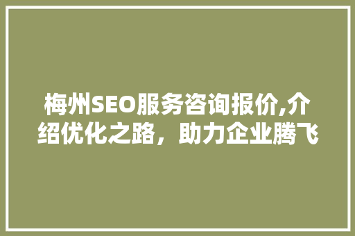 梅州SEO服务咨询报价,介绍优化之路，助力企业腾飞