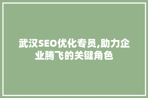 武汉SEO优化专员,助力企业腾飞的关键角色