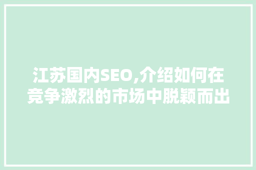 江苏国内SEO,介绍如何在竞争激烈的市场中脱颖而出