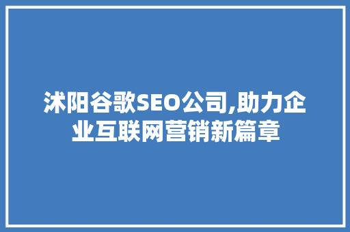 沭阳谷歌SEO公司,助力企业互联网营销新篇章
