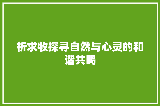 祈求牧探寻自然与心灵的和谐共鸣