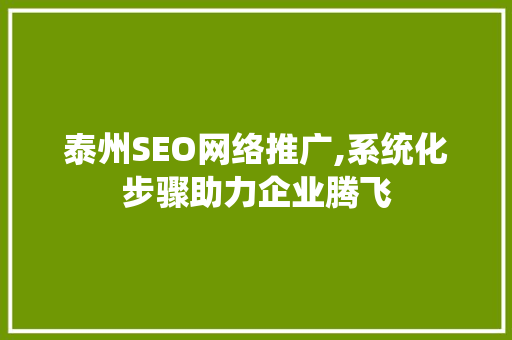 泰州SEO网络推广,系统化步骤助力企业腾飞