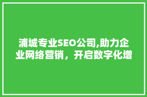 浦城专业SEO公司,助力企业网络营销，开启数字化增长新篇章