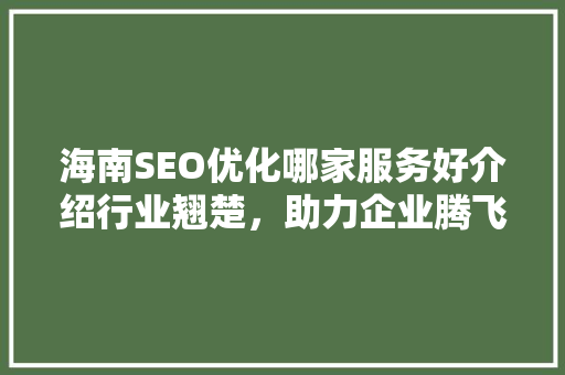海南SEO优化哪家服务好介绍行业翘楚，助力企业腾飞