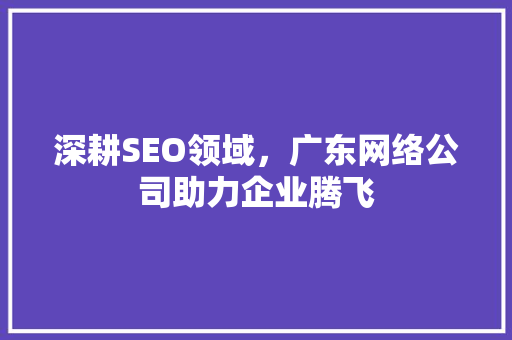 深耕SEO领域，广东网络公司助力企业腾飞