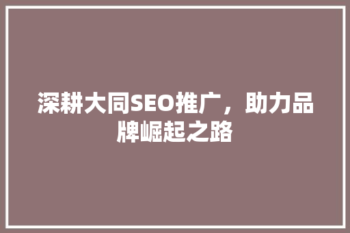 深耕大同SEO推广，助力品牌崛起之路