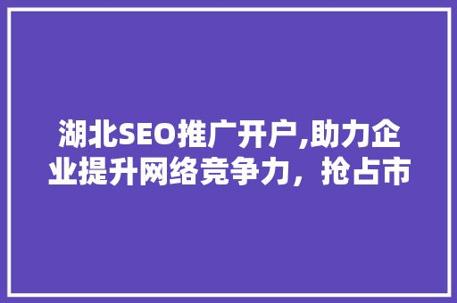 湖北SEO推广开户,助力企业提升网络竞争力，抢占市场先机
