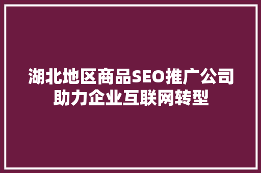 湖北地区商品SEO推广公司助力企业互联网转型