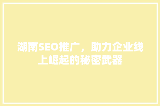 湖南SEO推广，助力企业线上崛起的秘密武器