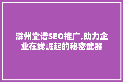 滁州靠谱SEO推广,助力企业在线崛起的秘密武器