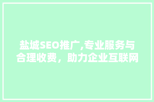 盐城SEO推广,专业服务与合理收费，助力企业互联网营销新篇章