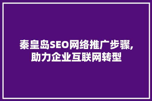秦皇岛SEO网络推广步骤,助力企业互联网转型