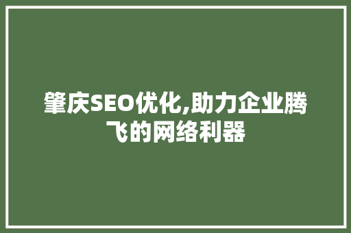 肇庆SEO优化,助力企业腾飞的网络利器  第1张