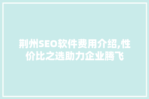 荆州SEO软件费用介绍,性价比之选助力企业腾飞