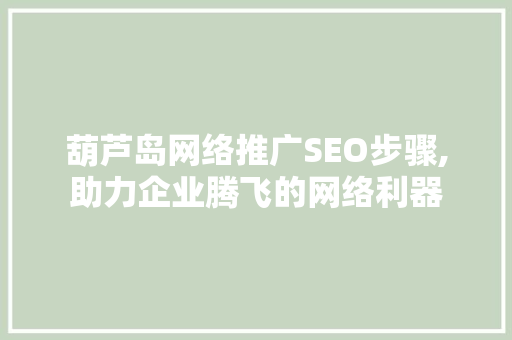 葫芦岛网络推广SEO步骤,助力企业腾飞的网络利器
