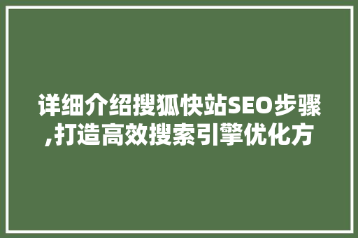 详细介绍搜狐快站SEO步骤,打造高效搜索引擎优化方法  第1张