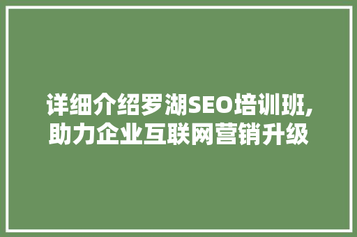 详细介绍罗湖SEO培训班,助力企业互联网营销升级