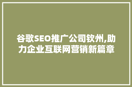 谷歌SEO推广公司钦州,助力企业互联网营销新篇章