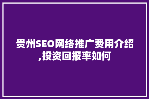 贵州SEO网络推广费用介绍,投资回报率如何