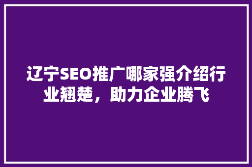 辽宁SEO推广哪家强介绍行业翘楚，助力企业腾飞