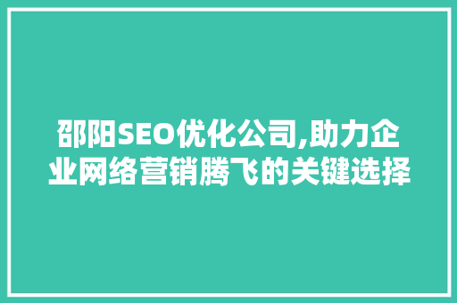 邵阳SEO优化公司,助力企业网络营销腾飞的关键选择