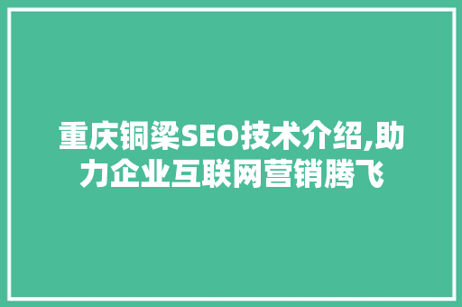 重庆铜梁SEO技术介绍,助力企业互联网营销腾飞