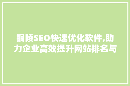 铜陵SEO快速优化软件,助力企业高效提升网站排名与流量
