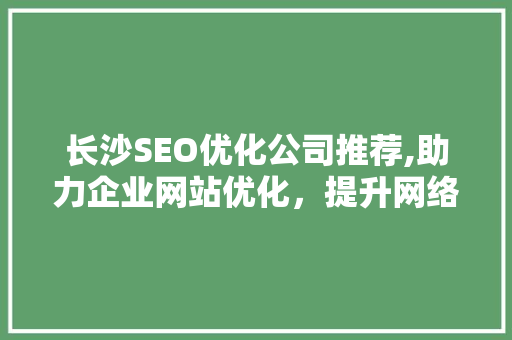 长沙SEO优化公司推荐,助力企业网站优化，提升网络营销效果