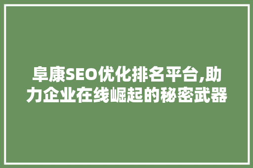 阜康SEO优化排名平台,助力企业在线崛起的秘密武器