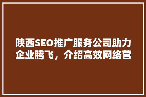 陕西SEO推广服务公司助力企业腾飞，介绍高效网络营销步骤