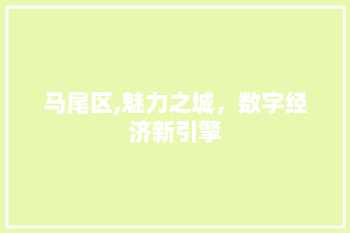 马尾区,魅力之城，数字经济新引擎