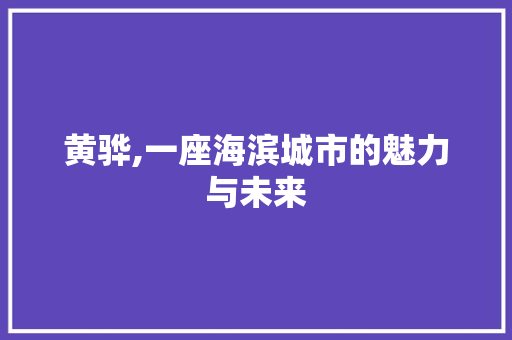 黄骅,一座海滨城市的魅力与未来
