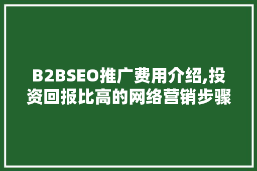 B2BSEO推广费用介绍,投资回报比高的网络营销步骤