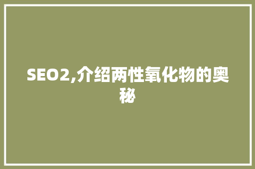 SEO2,介绍两性氧化物的奥秘