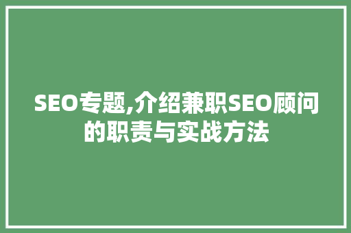 SEO专题,介绍兼职SEO顾问的职责与实战方法