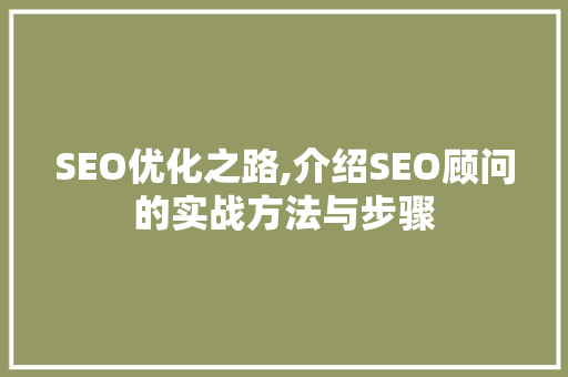 SEO优化之路,介绍SEO顾问的实战方法与步骤