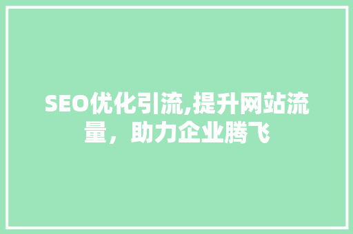 SEO优化引流,提升网站流量，助力企业腾飞