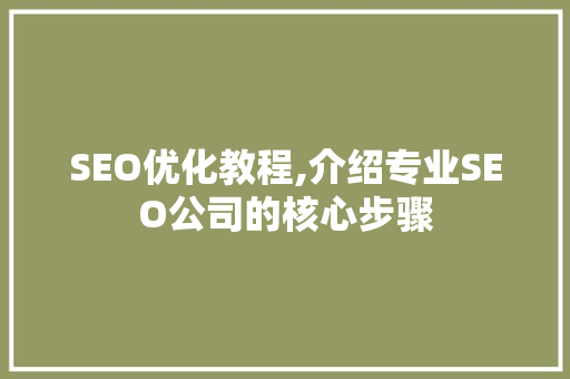 SEO优化教程,介绍专业SEO公司的核心步骤