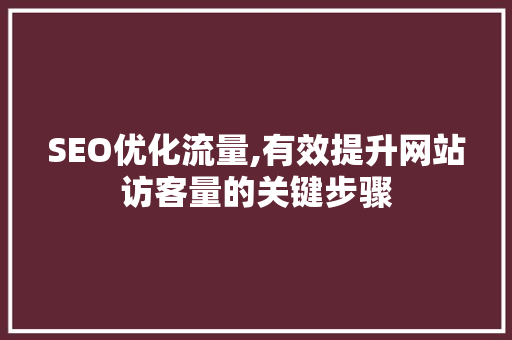 SEO优化流量,有效提升网站访客量的关键步骤