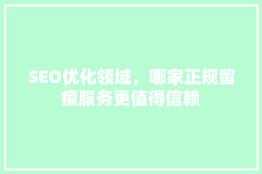 SEO优化领域，哪家正规留痕服务更值得信赖