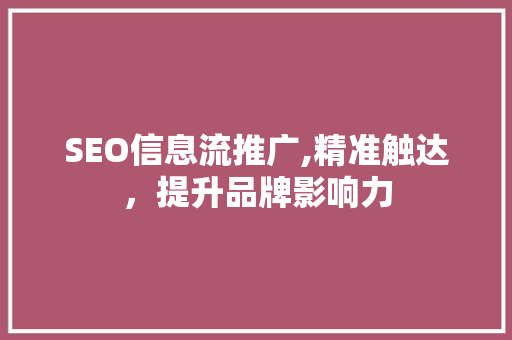 SEO信息流推广,精准触达，提升品牌影响力