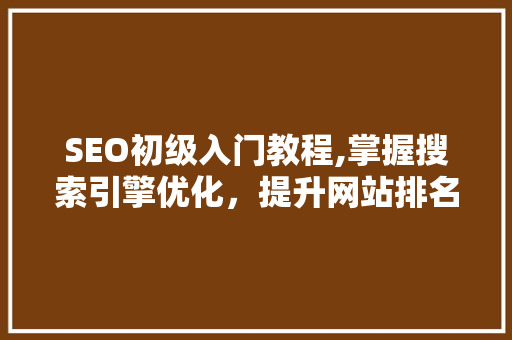 SEO初级入门教程,掌握搜索引擎优化，提升网站排名