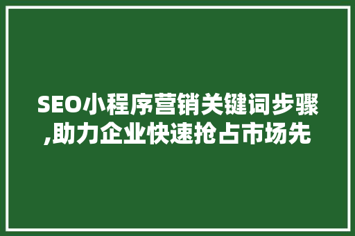 SEO小程序营销关键词步骤,助力企业快速抢占市场先机